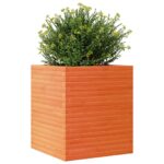 Jardinière cire marron 60x60x68,5 cm bois de pin massif – Image 2