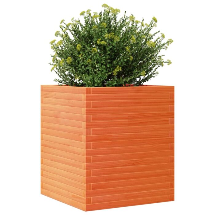 Jardinière cire marron 60x60x68,5 cm bois de pin massif – Image 2