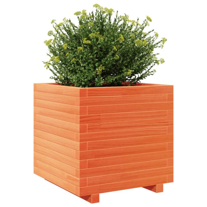 Jardinière cire marron 50x50x49,5 cm bois de pin massif – Image 2
