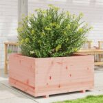 Jardinière 90x90x49,5 cm bois massif de douglas