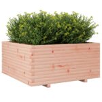 Jardinière 100x100x49,5 cm bois massif de douglas – Image 2