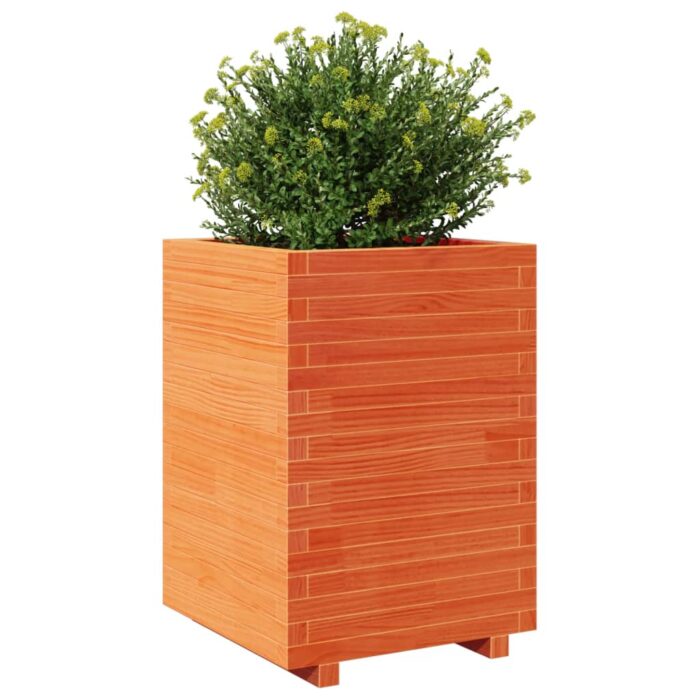 Jardinière cire marron 50x50x72,5 cm bois de pin massif – Image 2