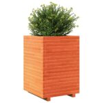 Jardinière cire marron 50x50x72 cm bois de pin massif – Image 2